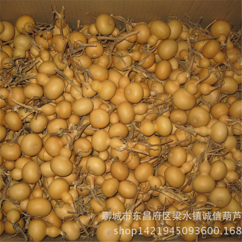 Натуральная тыква, американская мелкая тыква, ручная скрутка, тыква высотой 4-7 см, текстовые игры, мелкая тыква