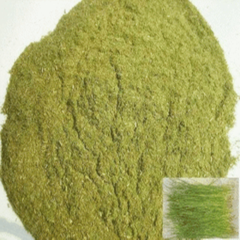 Pine Needle Powder Feed Grade Poultry Laying Hen Laying Duck Feed Ingredients Pig Feed Natural Masson Pine Green Pine Needle Powder