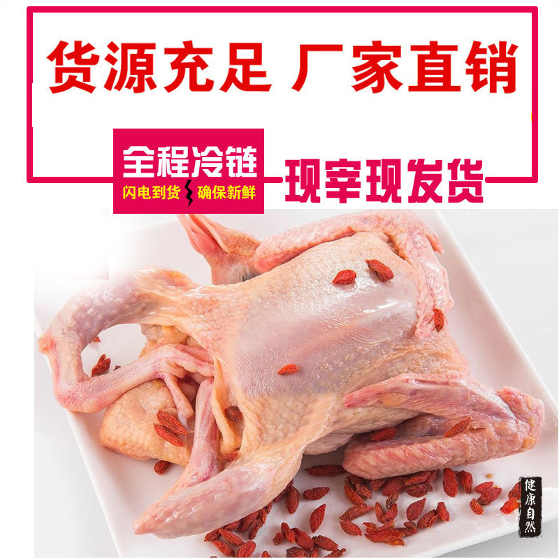 Свежая птица перепел 90 дней, потрошен, 200-300г, готов к убою и отправке, замороженное мясо, свежее мясо