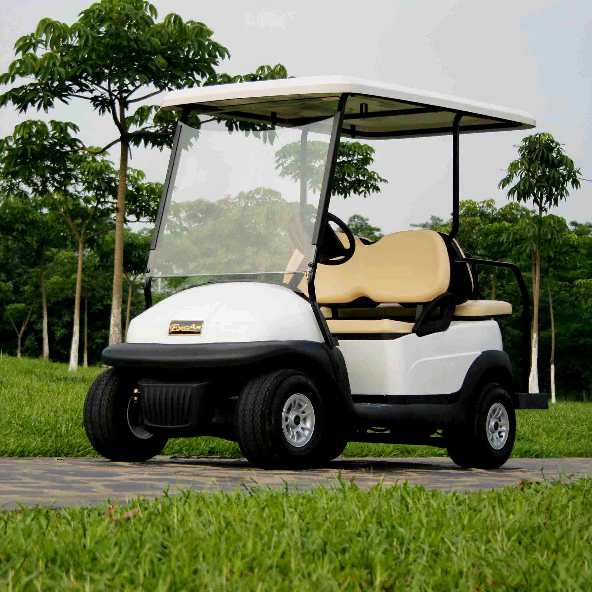 Golf Cart Scenic Spot Tourism Electric Sightseeing Car Four-Wheel Patrol Car New Campus Hotel Reception View Car
