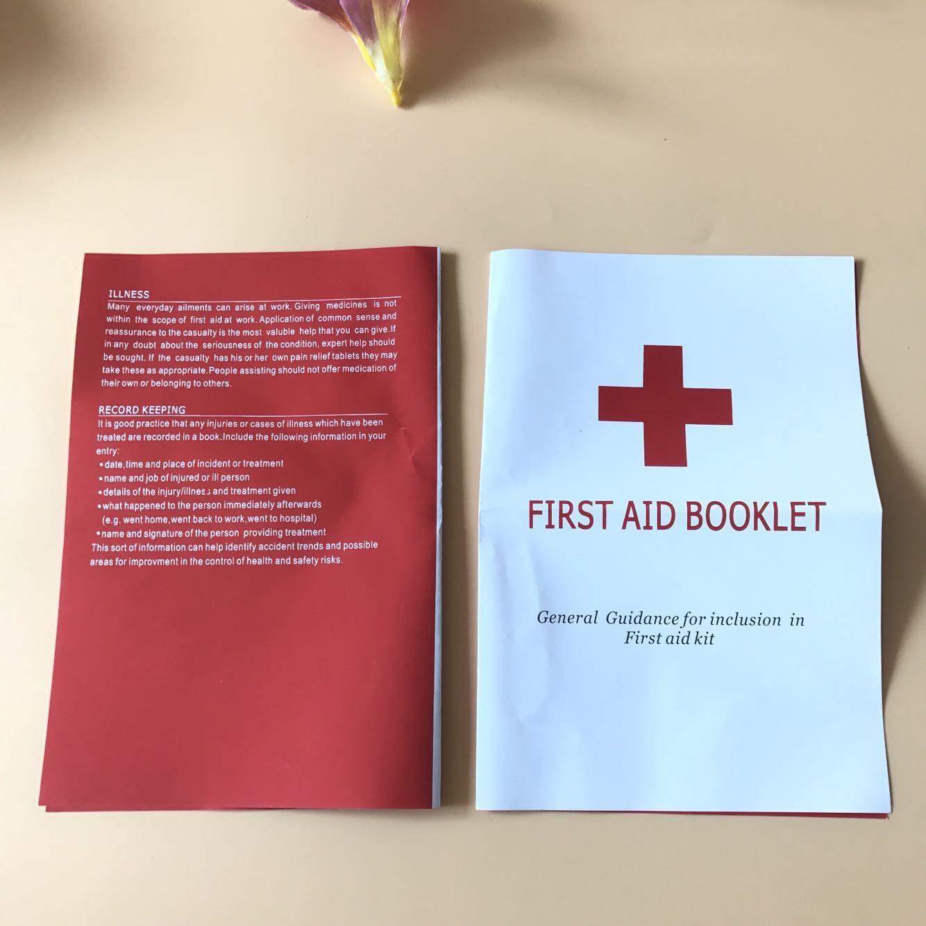 Color Printing Instructions First Aid Manual First Aid Kit Accessories First Aid Small Common Sense English First Aid Instructions