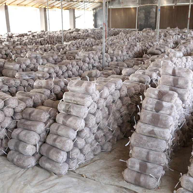 Mushroom Mushroom mushroom package 6kg mushroom stick two ends of Mushroom Mushroom mushroom base direct hair Four Seasons planting Mushroom mushroom package