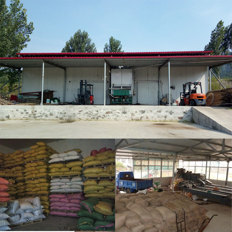 Starting from 10 Jin chestnut cooperative wholesale sale Qianxi chestnut sweet chestnut good quality fresh chestnut.