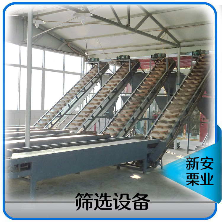 Starting from 10 Jin chestnut cooperative wholesale sale Qianxi chestnut sweet chestnut good quality fresh chestnut.