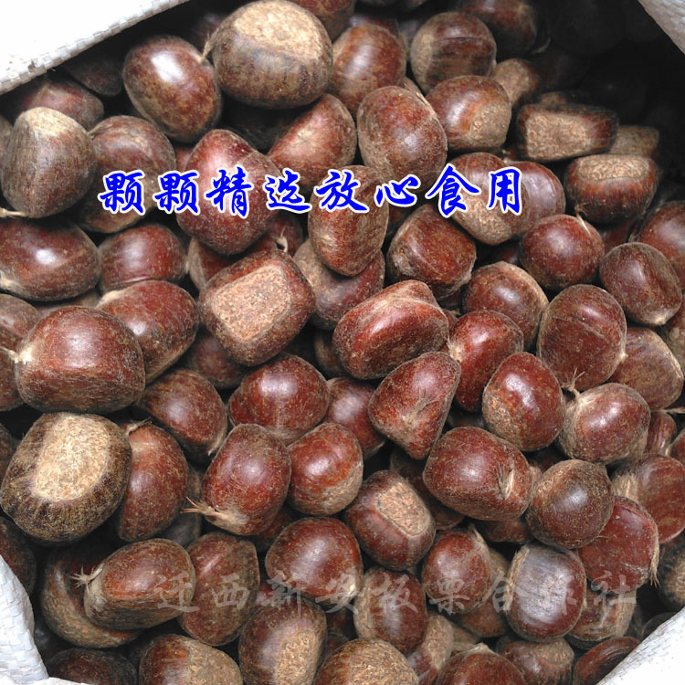 5 Jin free shipping/Qianxi chestnut/fresh chestnut cooperative for sale/good quality and low price/Fast Logistics
