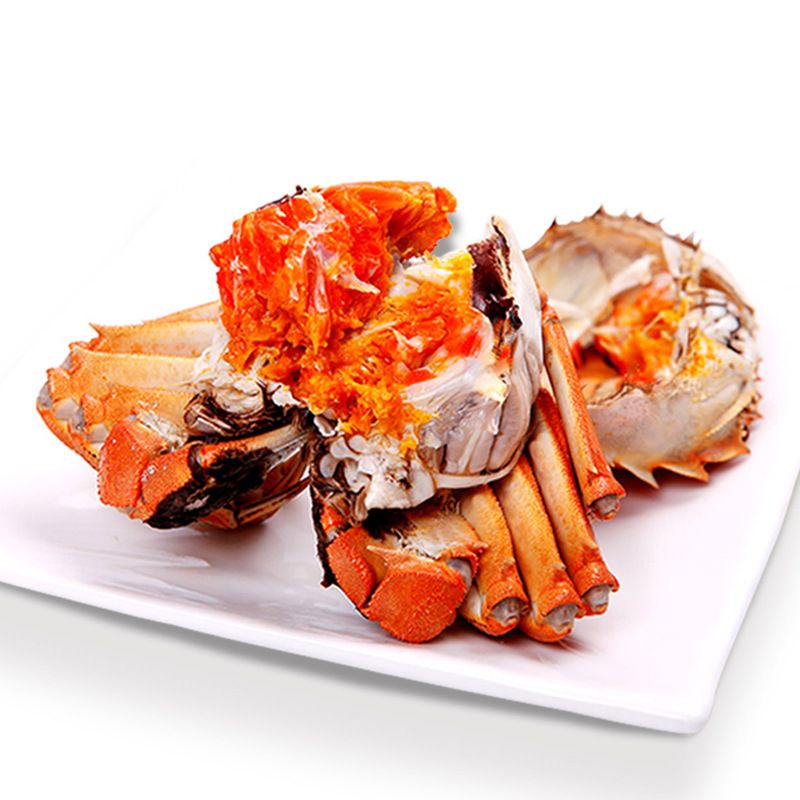 Wholesale Fresh Live Hairy Crabs Single Large Male and Female Crabs Sf Express Free Shipping Gift Box Packed Yangcheng Lake Town Delivery