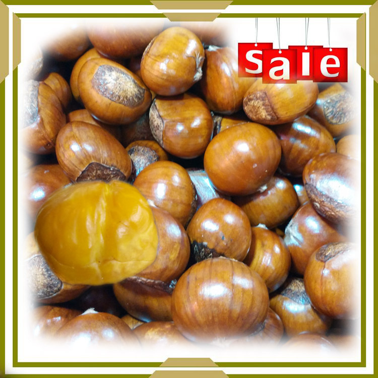 Starting from 10 Jin chestnut cooperative wholesale sale Qianxi chestnut sweet chestnut good quality fresh chestnut.