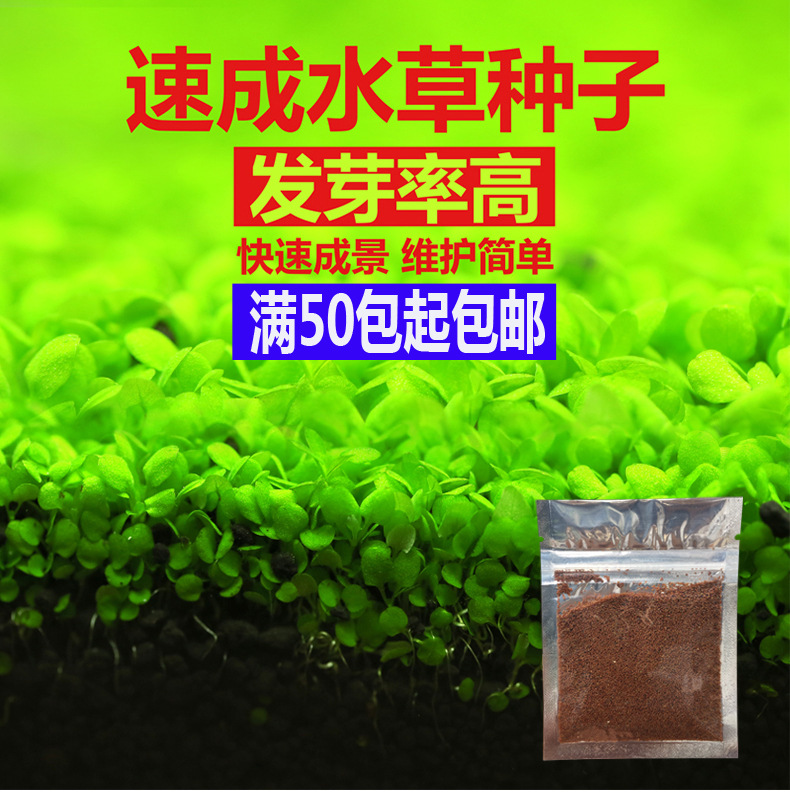 Упаковка семян аквариумных растений для озеленения, живые водные растения