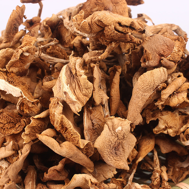 Gutian new goods Open umbrella tea mushroom edible fungus wholesale north and south dry goods mushroom bulk one generation wholesale