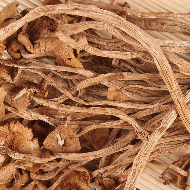 Gutian new goods Open umbrella tea mushroom edible fungus wholesale north and south dry goods mushroom bulk one generation wholesale