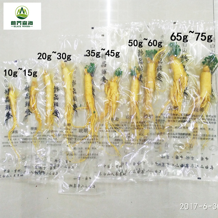 [Factory Direct Sales] Changbai Mountain Fresh Ginseng Wholesale Northeastern Local Specialty Bagged Fresh Ginseng Soup and Wine Ginseng