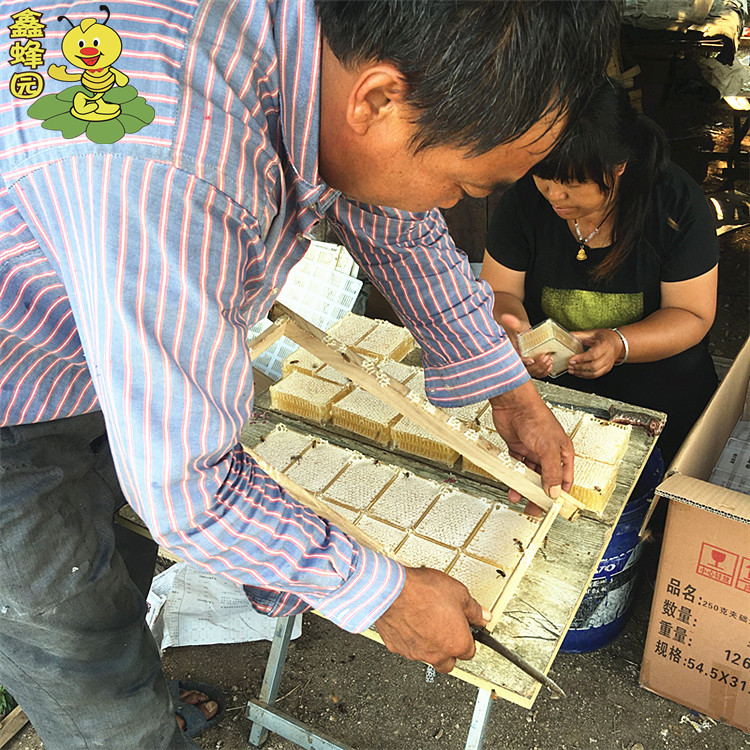 Jingtiao honeycomb honey half jin pack 300g a box of bee farm peak honeycomb honey wholesale one-piece delivery