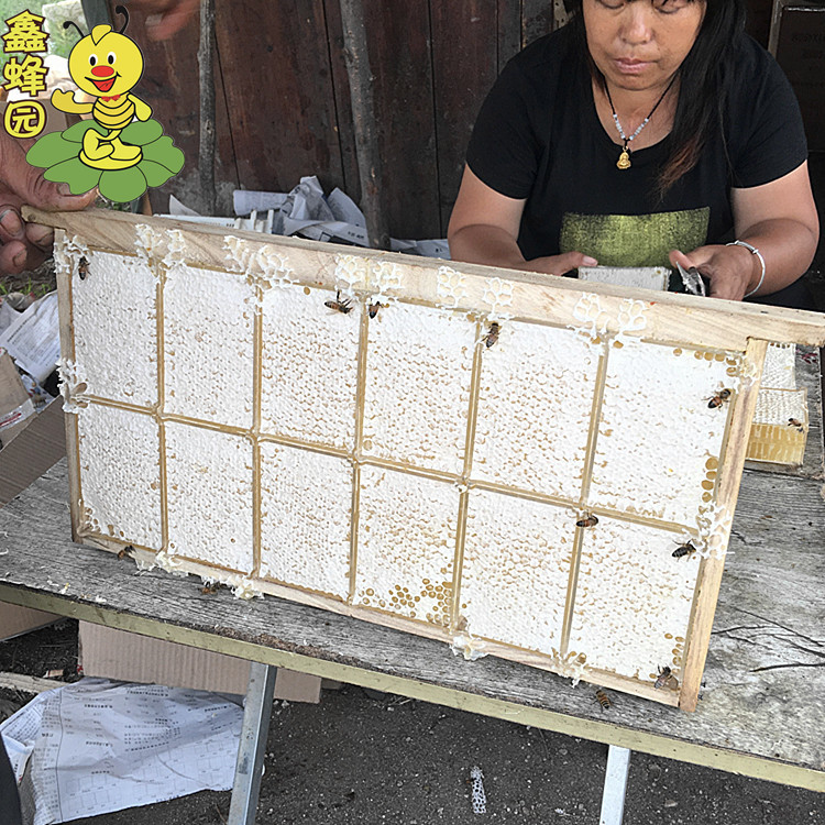 Jingtiao honeycomb honey half jin pack 300g a box of bee farm peak honeycomb honey wholesale one-piece delivery