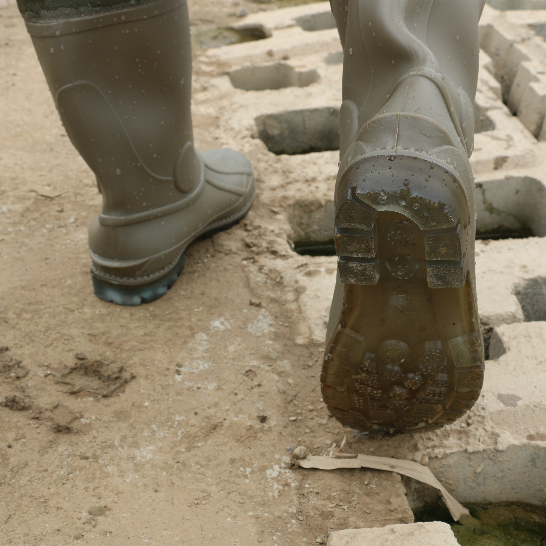 Haixiang Brand Half-length Water Pants Fishing Lotus Root Digging Fishing Wading Pants Wear-resistant Beef Tendon Sole Extra Thickened Water Pants