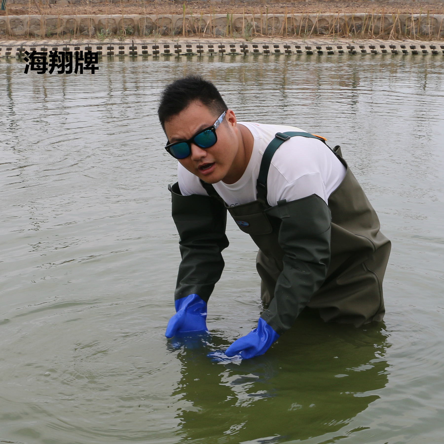 Haixiang Brand Half-length Water Pants Fishing Lotus Root Digging Fishing Wading Pants Wear-resistant Beef Tendon Sole Extra Thickened Water Pants