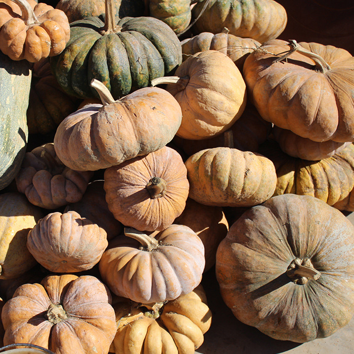 Raw Pumpkin Seeds from the Old Varieties of Ailao Mountain, Raw Pumpkin Seeds with Natural Edges, Original Flavor, Loose-Packed from Yunnan