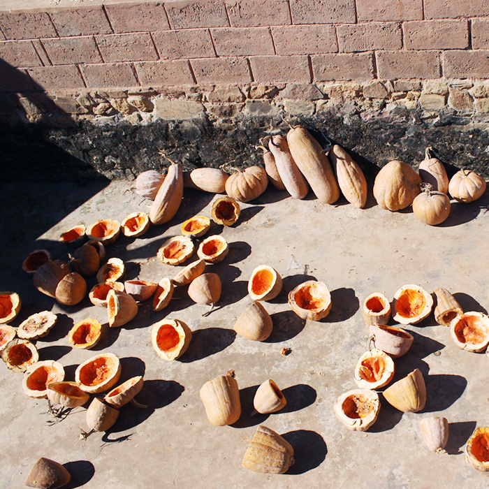 Raw Pumpkin Seeds from the Old Varieties of Ailao Mountain, Raw Pumpkin Seeds with Natural Edges, Original Flavor, Loose-Packed from Yunnan