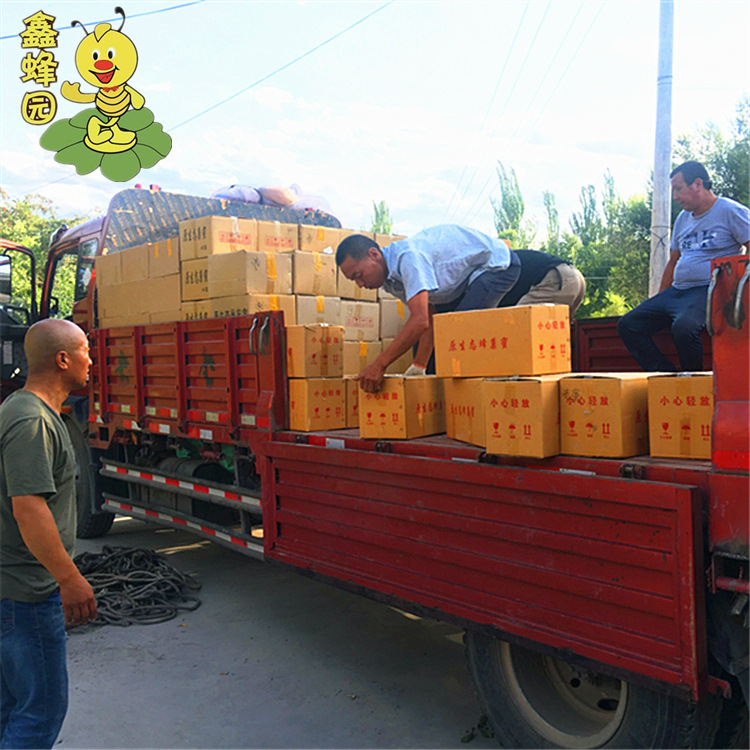 Xin bee garden strength bee farm farm self-produced leisure food in stock honeycomb honey 500g a box of wattle honeycomb honey