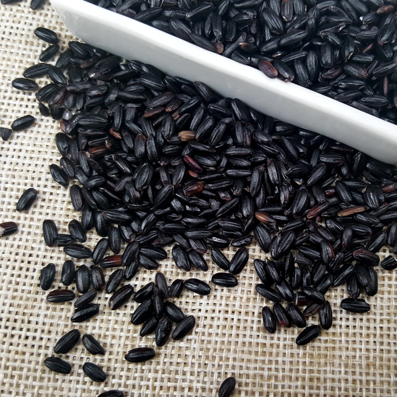 Yi Xiaomei Yitian Cereals Organic Black Rice Northeast Black Rice Cereals Rice Factory Wholesale 900g