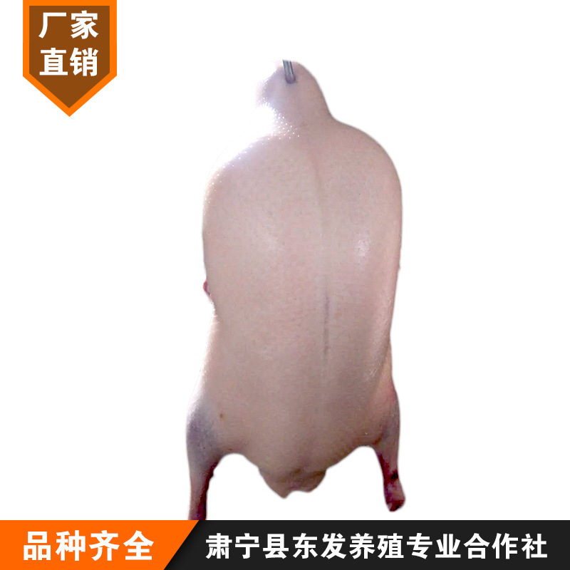 Manufacturer Wholesale Cherry Valley Crispy Non-Greasy Duck Embryo Fresh Frozen Roast Duck Embryo Raw Material Roast Duck Embryo