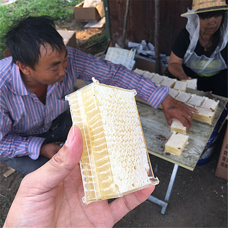 Xin bee garden strength bee farm farm self-produced leisure food in stock honeycomb honey 500g a box of wattle honeycomb honey