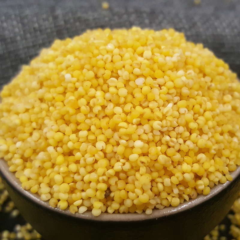 Yitian Cereals Organic Millet Yellow Millet Farm Cereals Millet Porridge Millet Wholesale
