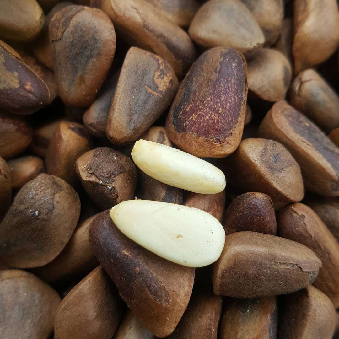 Новый оригинальный вкус северо-восточных диких открытых красных сосновых орехов, закуски, очищенные вручную, новые жареные хрустящие орехи