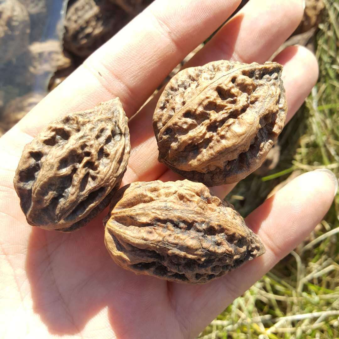 Yichun walnut small Xing'an Ridge walnut Wenwan walnut raw walnut thick peel walnut 500g free shipping