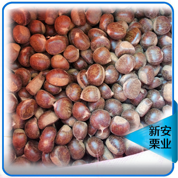 Оптовая продажа каштанов Qianxi, сладкие каштаны, хорошее качество