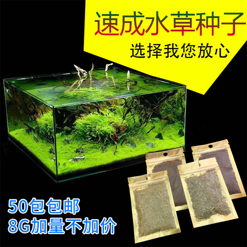 Экологические семена травы для аквариума, семена водных растений, декор для аквариума