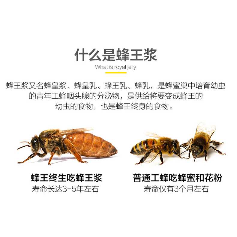 Natural Spot 500g Authentic Fresh Royal Jelly Frozen Puree Wholesale Pure Jelly 0 Added Free Shipping Farm-Produced