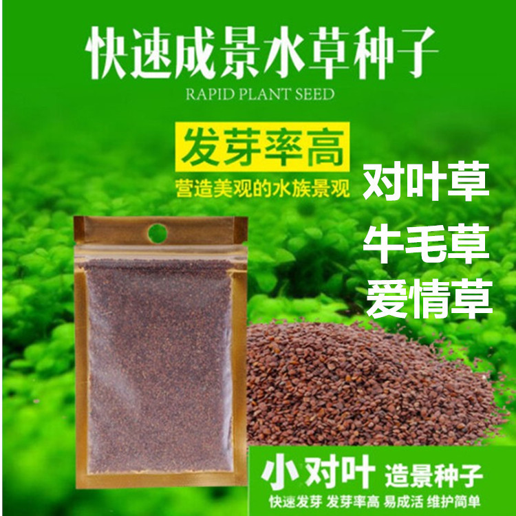 Оптовые семена водной травы для аквариумного ландшафта семена газона семена телячьей шерсти мини пара семена листовой травы удачной травы