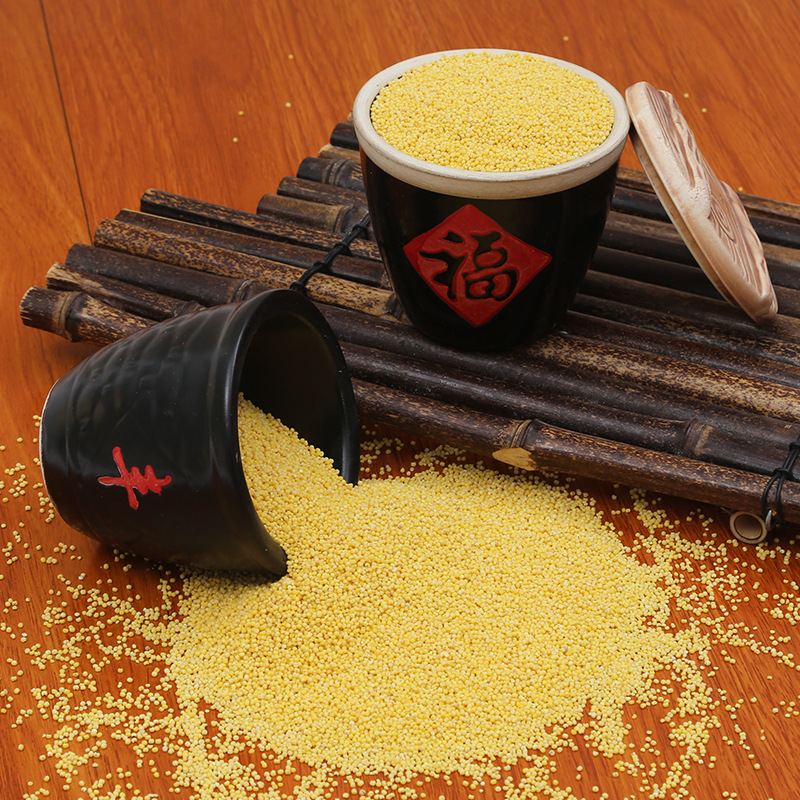 Wholesale cooked yellow millet new rice farmhouse self-produced mill powder raw material small yellow rice low temperature baking cooked millet