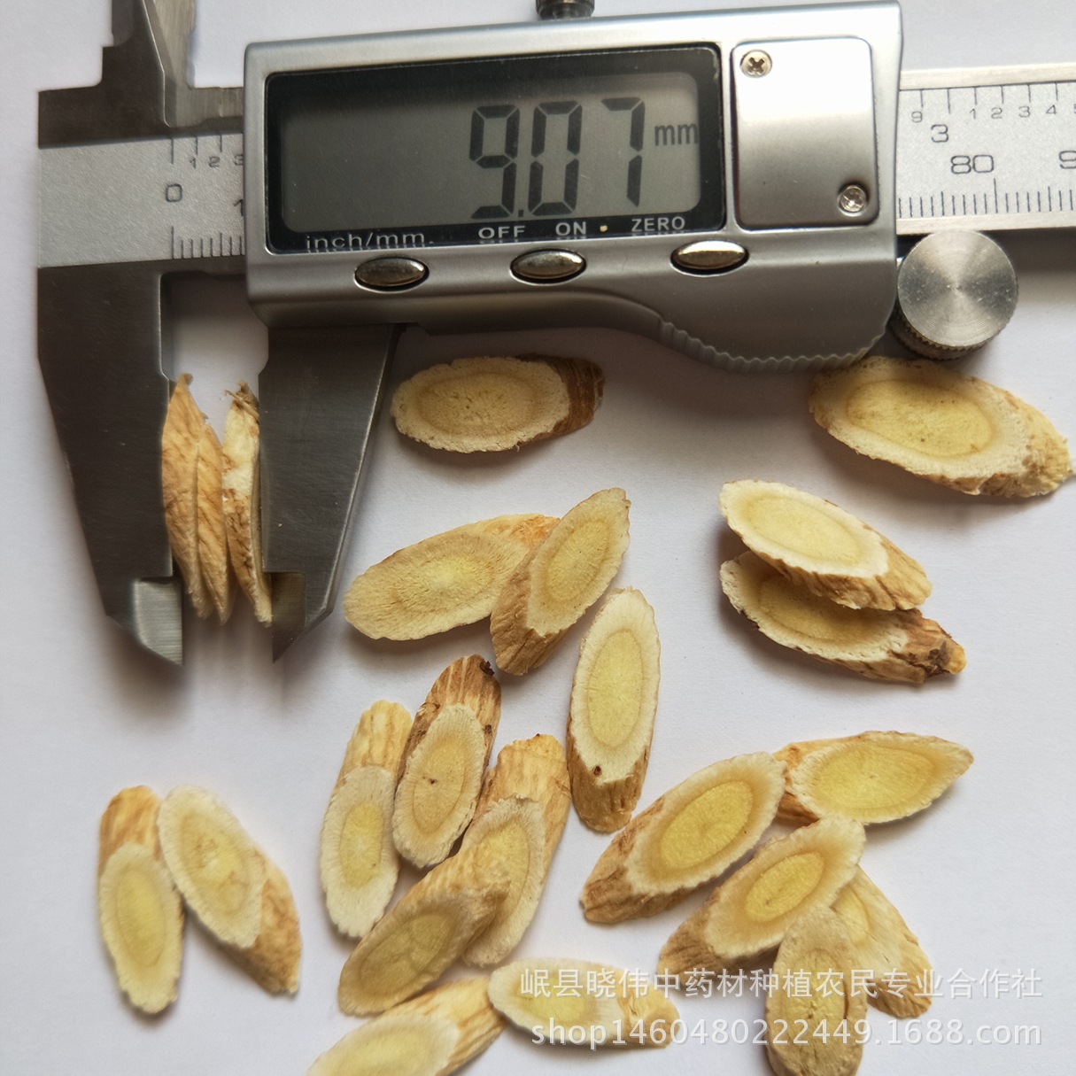 Yuxian Astragalus Chinese Herbal Medicine Bulk Manufacturer Wholesale Wild Tablets Bulk Astragalus One Piece Free Powder Herbal