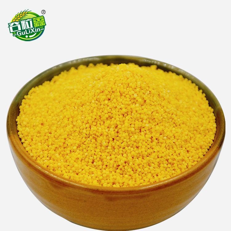 Low-temperature baking cooked coarse cereals grinding raw material soybean milk raw material cooked yellow millet 500g selection