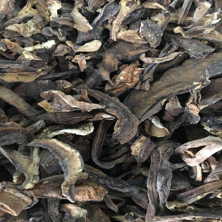 Black Boletus black mixed bacteria hot pot soup special Yunnan edible fungus wholesale first-hand supply