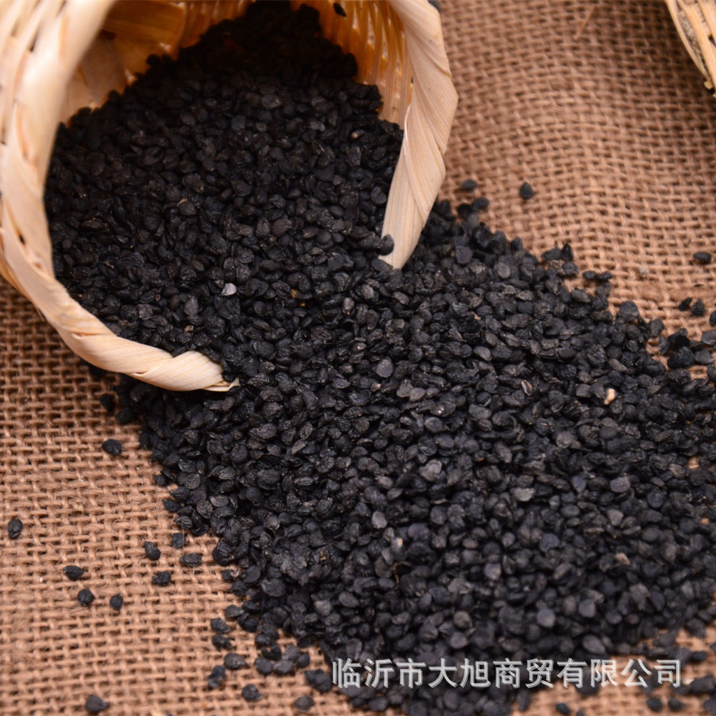 Wholesale origin supply high quality leek seed clean no different seed 500 grams a large quantity of favorably 5kg postage