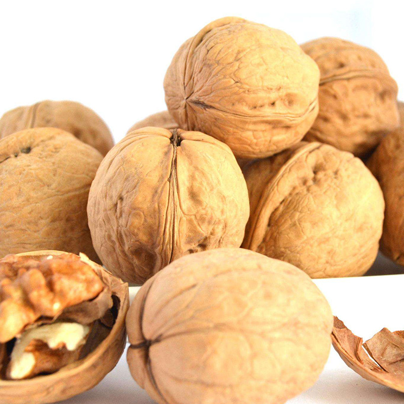 New Xinjiang Paper-Skinned Walnuts Wholesale Aksu Raw Walnuts 185 Walnuts Xinjiang Specialty Original Thin-Skinned Walnuts