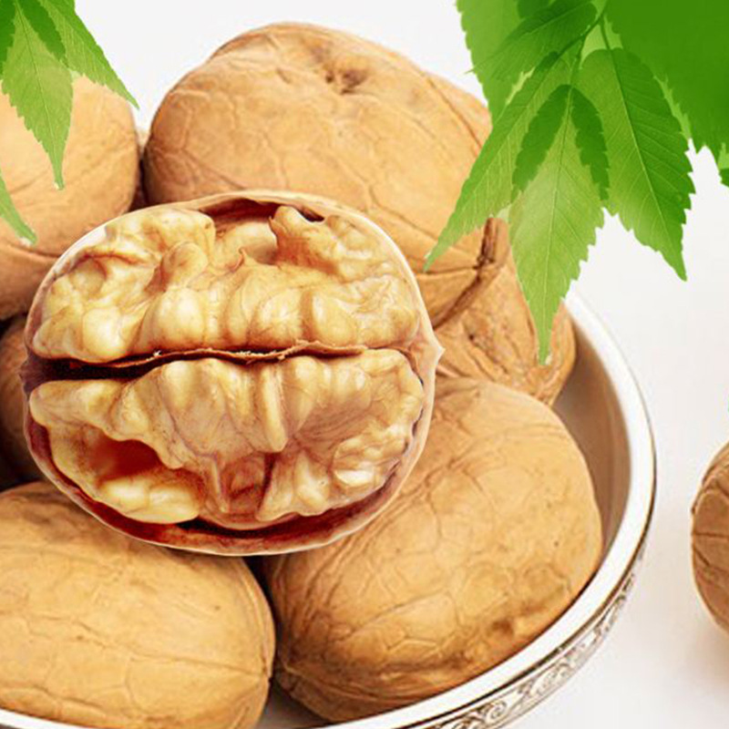 Xinjiang thin-skinned walnut 5kg original raw walnut nuts Xinjiang specialty Aksu walnut Xinjiang paper-skinned walnut