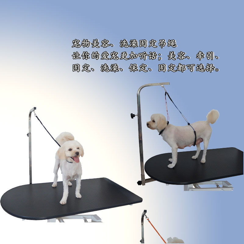 Pet Grooming Table Sling Single-Tied Double-Tied Steel Wire Sling Bite-Resistant Long-Lasting and Easy-To-Use Dog Fixed Rope Traction Suction Cup