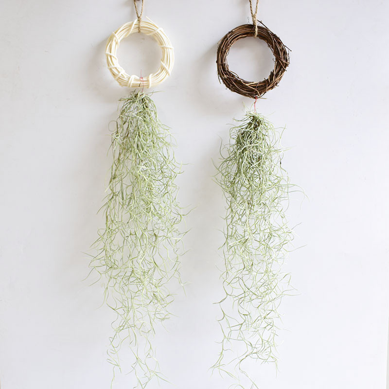 Usnea Old Man's Beard Combination - Factory Direct Supply Base Delivery Air Pineapple Soilless Lazy Tillandsia Novelty Wholesale