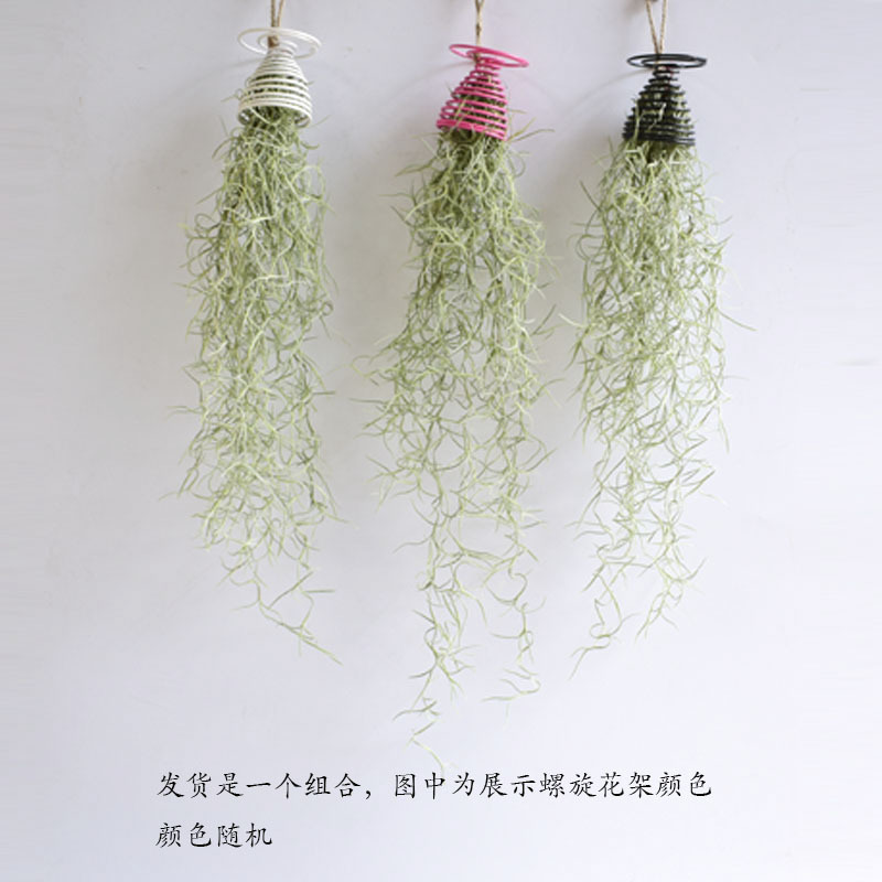 Usnea Old Man's Beard Combination - Factory Direct Supply Base Delivery Air Pineapple Soilless Lazy Tillandsia Novelty Wholesale