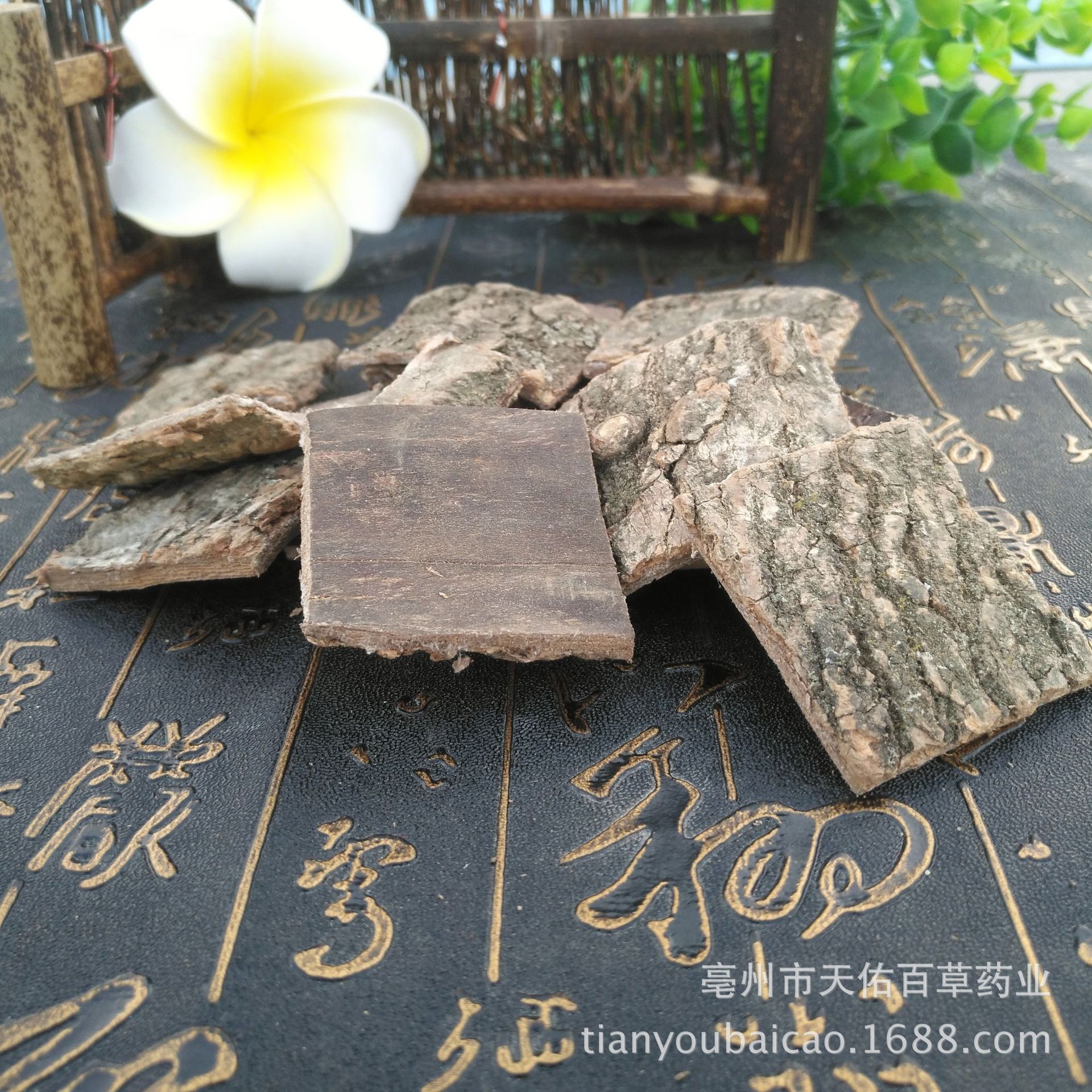 Eucommia Chinese Medicinal Materials in Bulk 500g New Arrival Eucommia Bark Eucommia Blocks Various Specifications Wholesale Eucommia Bark