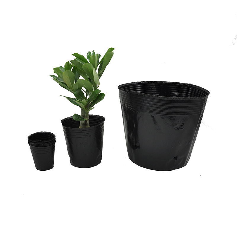Nutrition Cup Nutrition Bowl Seedling Cup Seedling Basin Black Nutrition Bag Thickened Black Disposable Plastic Cup Large Size