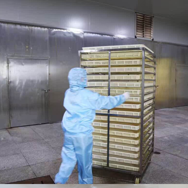 Source Factory 5A Large Dried Mango Bulk Wholesale Wechat Business Snacks Source Factory New Food Dried Fruit Preserves