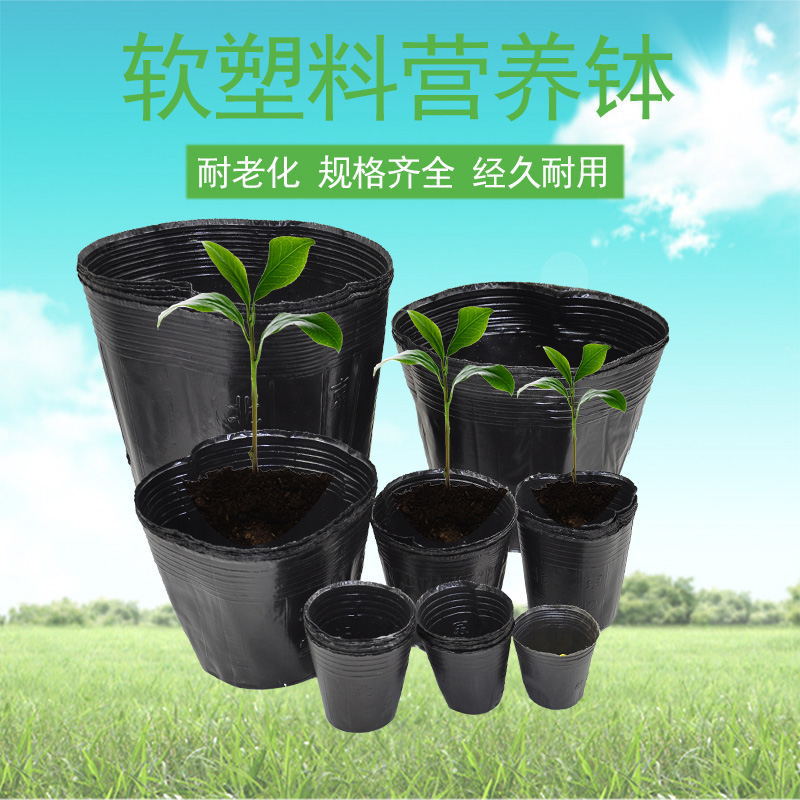 Nutrition Cup Nutrition Bowl Seedling Cup Seedling Basin Black Nutrition Bag Thickened Black Disposable Plastic Cup Large Size