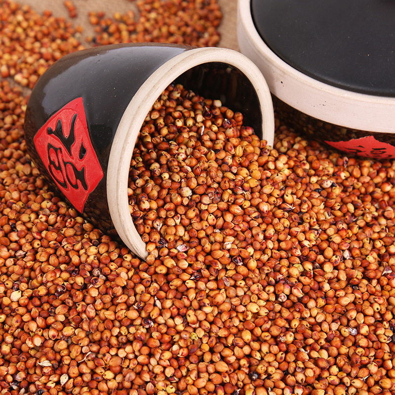 in stock waxy sorghum sorghum rice shelled and skinned sorghum red sorghum red sorghum for wine making in northeast red sorghum