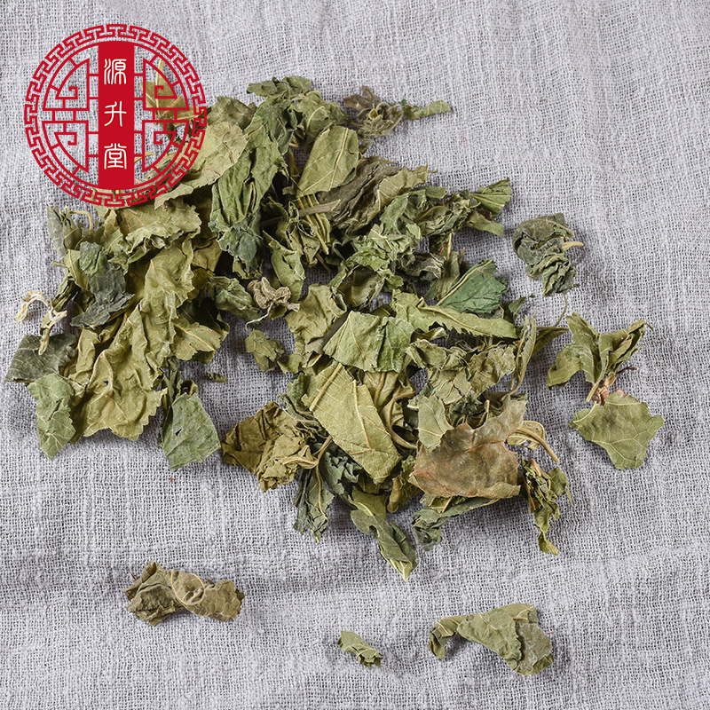 The Source of Green Mulberry Leaves Is Supplied from the Place of Production. There Are Also Frost Mulberry Leaves That Can Be Powdered. Chinese Medicinal Materials Are Available in Large Quantities