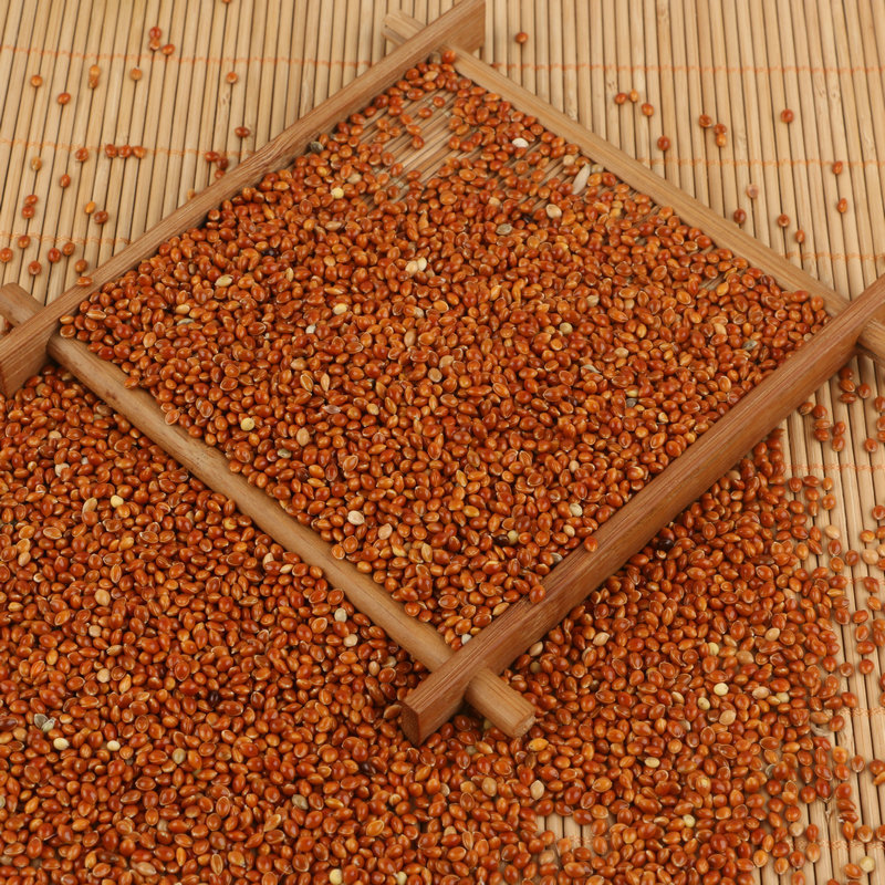 Wholesale Bird Food from Local Farmers: Shelled Red Millet Bird Feed, Millet Pillow Filling, Red Millet, Sorghum Varieties