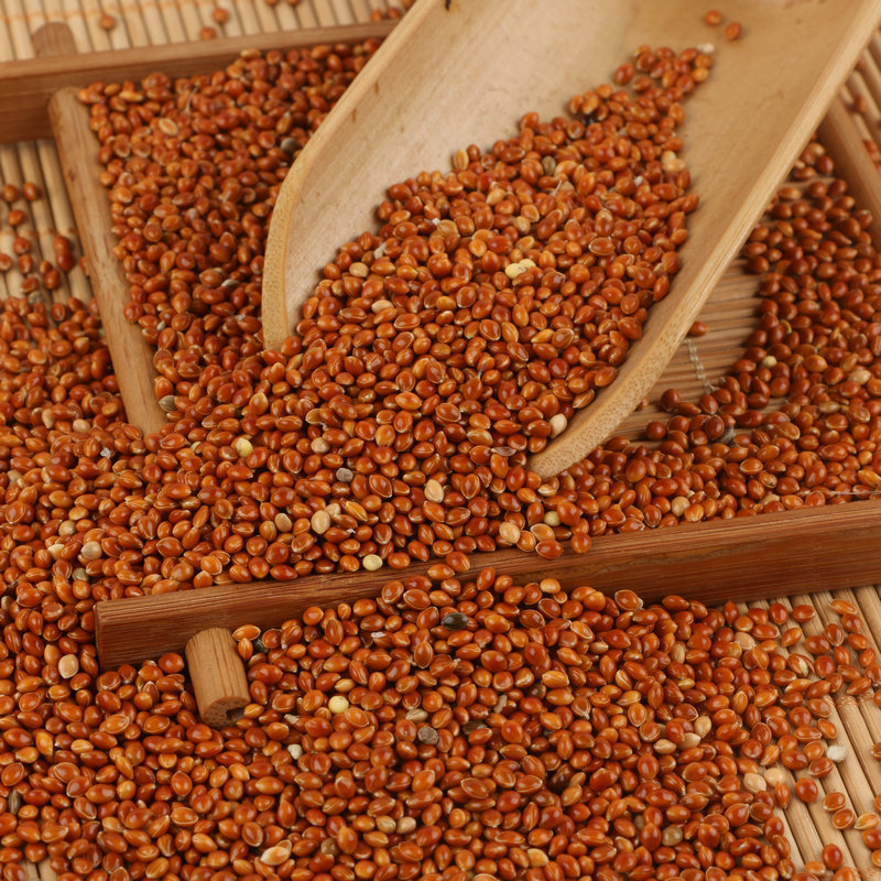 Wholesale Bird Food from Local Farmers: Shelled Red Millet Bird Feed, Millet Pillow Filling, Red Millet, Sorghum Varieties
